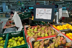 «Я с бомжами за последнюю крысу дерусь!» Беларусы Польши смеются над вбросом пропаганды от БТ