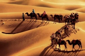 «На одних куриных лапках далеко не уедешь». Даже по Шелковому пути